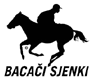 UDRUGA BACAČI SJENKI